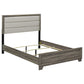 Wright 52-inch Upholstered Queen Bed Brown Oak