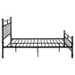 Novak 48-inch Metal Queen Open Frame Bed Matte Black